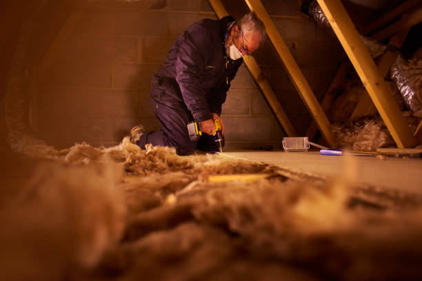 Eco-Friendly or Green Insulation Solutions in Cedar Rapids, IA